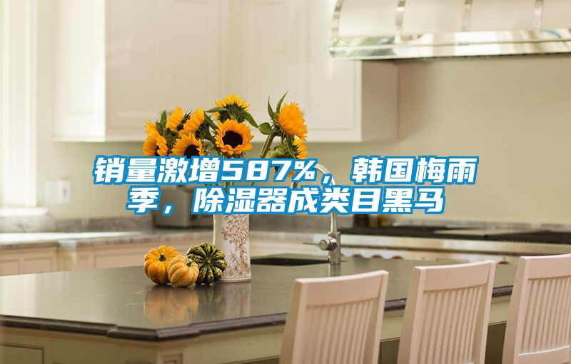 銷量激增587%，韓國梅雨季，除濕器成類目黑馬