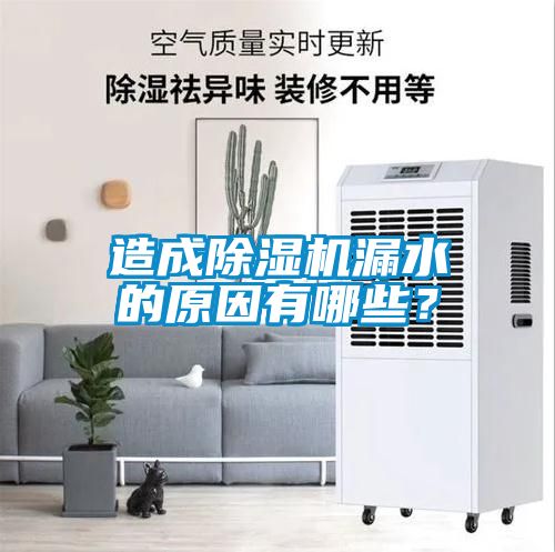 造成除濕機漏水的原因有哪些？