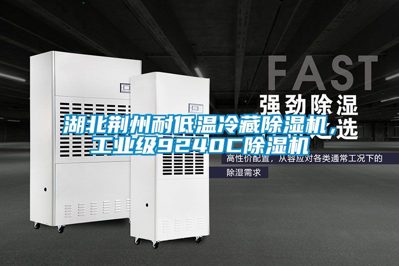 湖北荊州耐低溫冷藏除濕機(jī)，工業(yè)級(jí)9240C除濕機(jī)