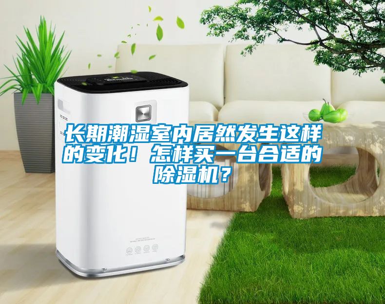 長(zhǎng)期潮濕室內(nèi)居然發(fā)生這樣的變化！怎樣買一臺(tái)合適的除濕機(jī)？