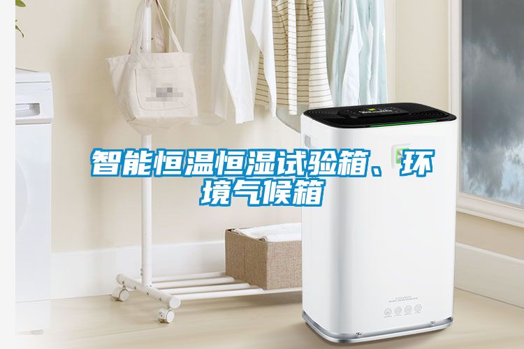 智能恒溫恒濕試驗(yàn)箱、環(huán)境氣候箱