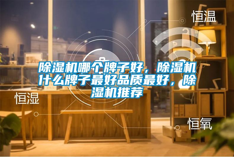 除濕機(jī)哪個(gè)牌子好，除濕機(jī)什么牌子最好品質(zhì)最好，除濕機(jī)推薦