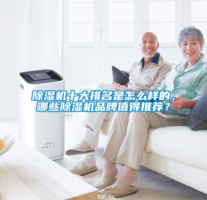 除濕機十大排名是怎么樣的，哪些除濕機品牌值得推薦？