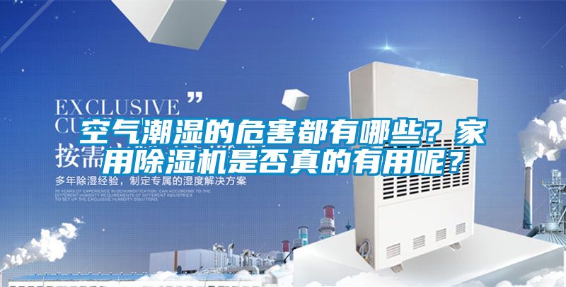 空氣潮濕的危害都有哪些？家用除濕機是否真的有用呢？
