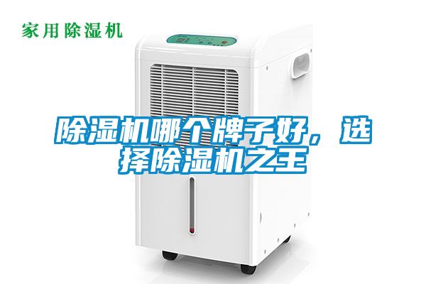除濕機哪個牌子好，選擇除濕機之王