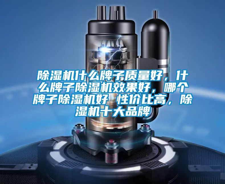 除濕機(jī)什么牌子質(zhì)量好，什么牌子除濕機(jī)效果好，哪個(gè)牌子除濕機(jī)好 性價(jià)比高，除濕機(jī)十大品牌