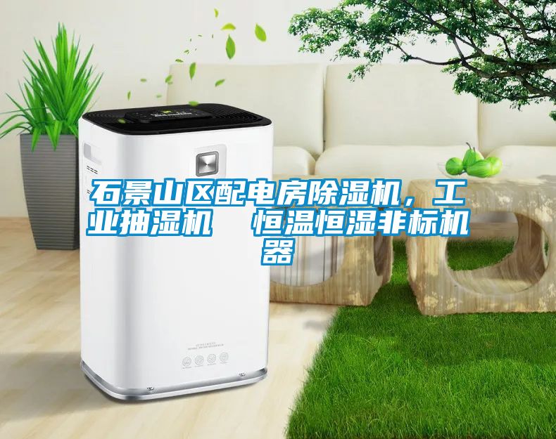 石景山區(qū)配電房除濕機(jī)，工業(yè)抽濕機(jī)  恒溫恒濕非標(biāo)機(jī)器