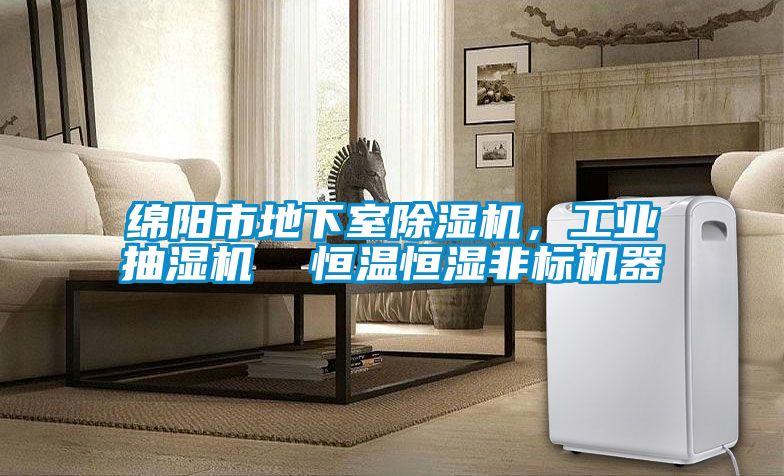 綿陽市地下室除濕機，工業(yè)抽濕機  恒溫恒濕非標機器