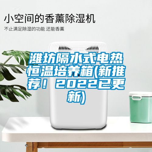濰坊隔水式電熱恒溫培養(yǎng)箱(新推薦！2022已更新)