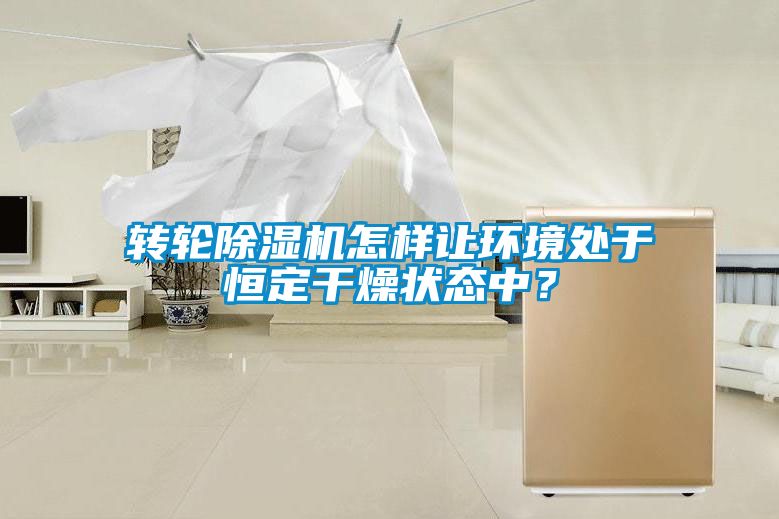 轉(zhuǎn)輪除濕機(jī)怎樣讓環(huán)境處于恒定干燥狀態(tài)中？