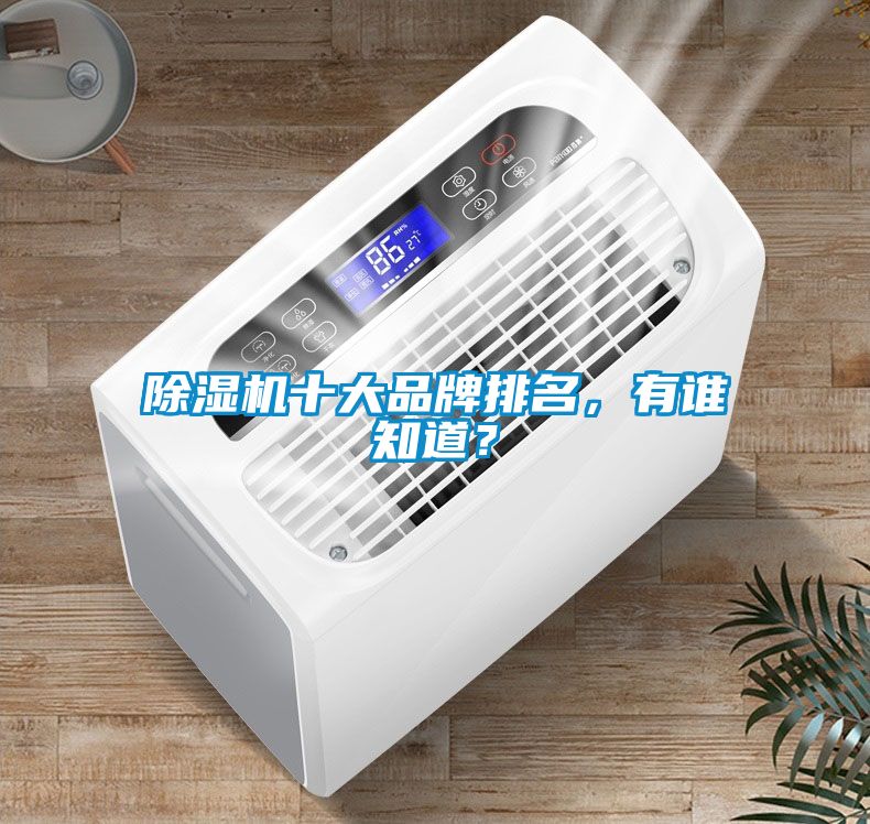 除濕機(jī)十大品牌排名，有誰(shuí)知道？