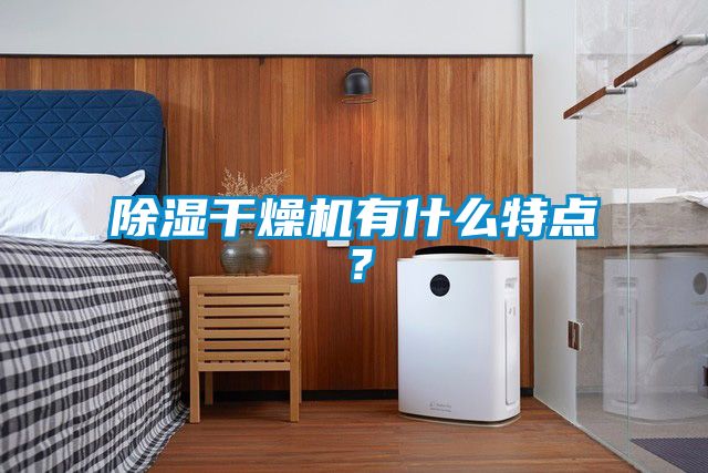 除濕干燥機(jī)有什么特點(diǎn)？