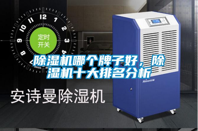除濕機(jī)哪個牌子好，除濕機(jī)十大排名分析
