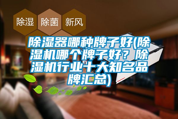 除濕器哪種牌子好(除濕機(jī)哪個(gè)牌子好？除濕機(jī)行業(yè)十大知名品牌匯總)