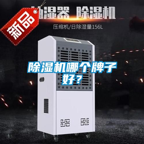 除濕機(jī)哪個牌子好？