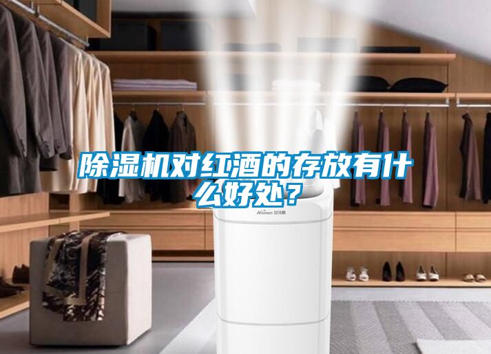 除濕機(jī)對(duì)紅酒的存放有什么好處？