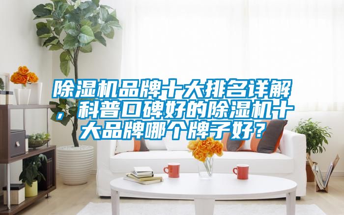 除濕機(jī)品牌十大排名詳解，科普口碑好的除濕機(jī)十大品牌哪個(gè)牌子好？