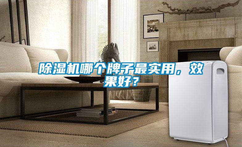 除濕機哪個牌子最實用，效果好？