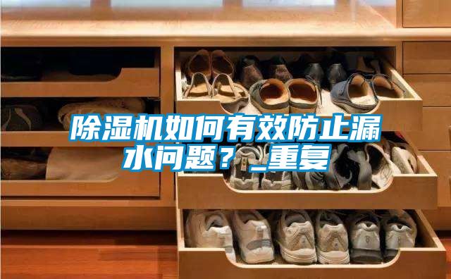 除濕機(jī)如何有效防止漏水問題？_重復(fù)