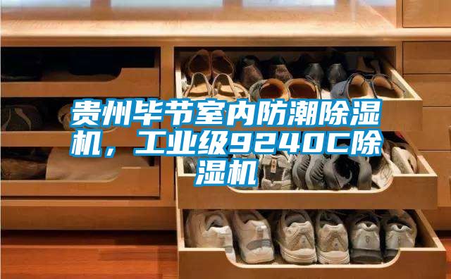 貴州畢節(jié)室內防潮除濕機，工業(yè)級9240C除濕機