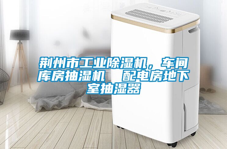 荊州市工業(yè)除濕機(jī)，車間庫房抽濕機(jī)  配電房地下室抽濕器