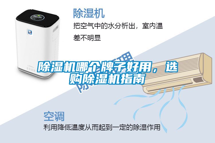 除濕機哪個牌子好用，選購除濕機指南