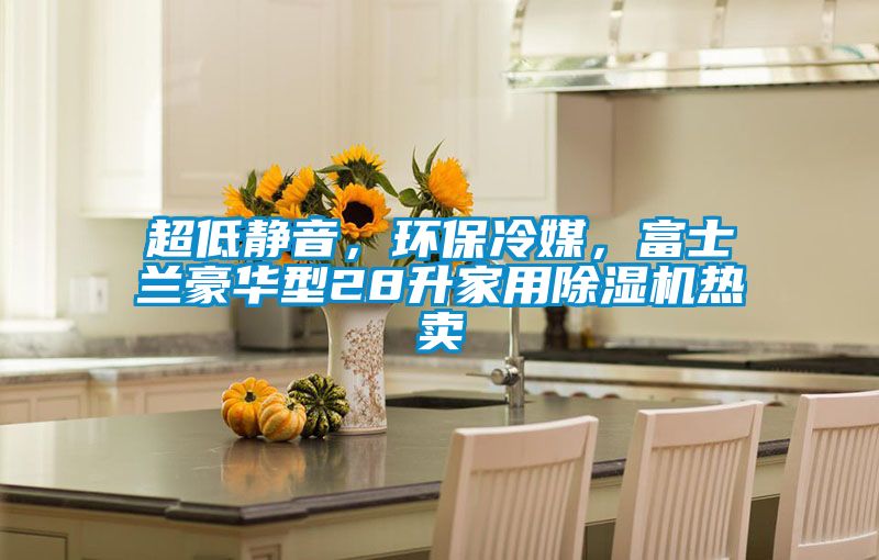 超低靜音，環(huán)保冷媒，富士蘭豪華型28升家用除濕機(jī)熱賣