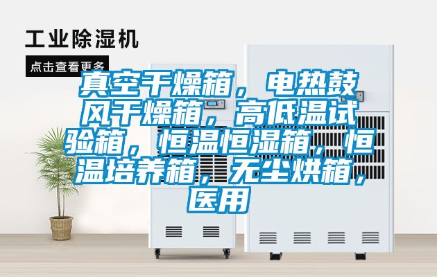 真空干燥箱，電熱鼓風干燥箱，高低溫試驗箱，恒溫恒濕箱，恒溫培養(yǎng)箱，無塵烘箱，醫(yī)用