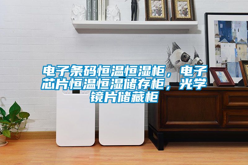 電子條碼恒溫恒濕柜，電子芯片恒溫恒濕儲存柜，光學鏡片儲藏柜