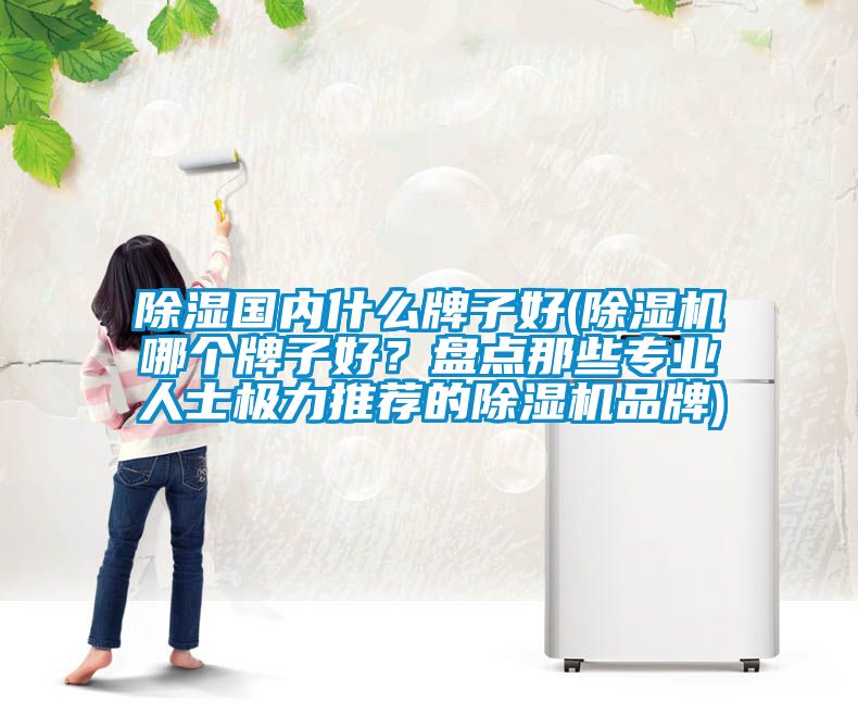 除濕國內什么牌子好(除濕機哪個牌子好？盤點那些專業(yè)人士極力推薦的除濕機品牌)