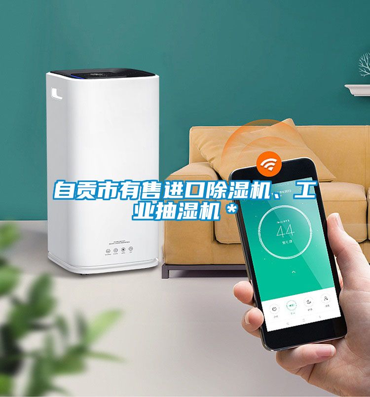 自貢市有售進(jìn)口除濕機(jī)、工業(yè)抽濕機(jī)＊