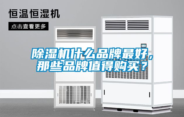 除濕機(jī)什么品牌最好，那些品牌值得購買？