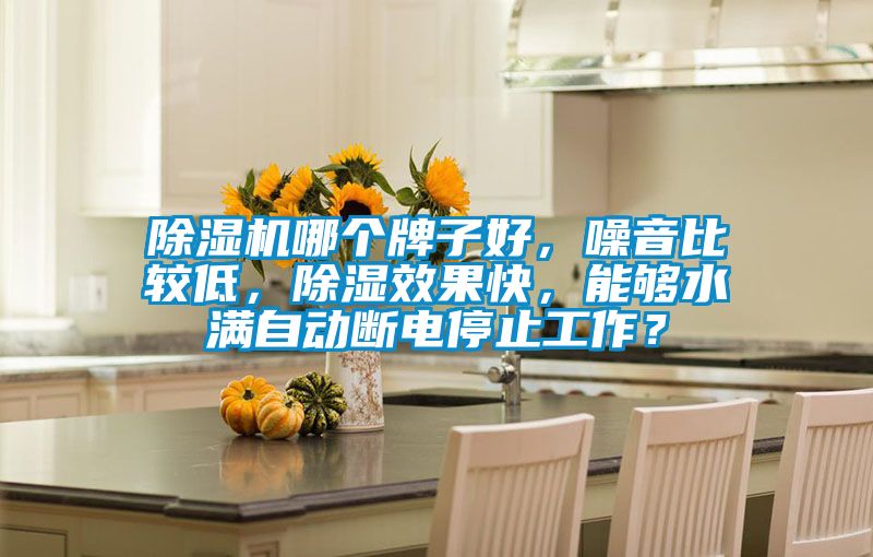 除濕機(jī)哪個(gè)牌子好，噪音比較低，除濕效果快，能夠水滿自動(dòng)斷電停止工作？