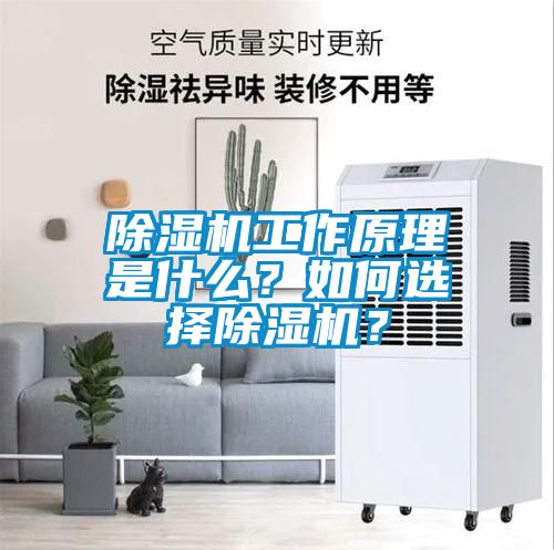 除濕機(jī)工作原理是什么？如何選擇除濕機(jī)？