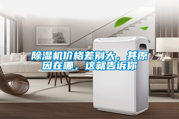 除濕機(jī)價(jià)格差別大，其原因在哪，這就告訴你