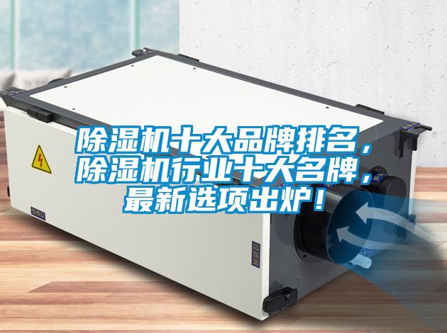 除濕機(jī)十大品牌排名，除濕機(jī)行業(yè)十大名牌，最新選項(xiàng)出爐！