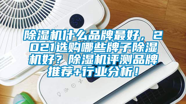 除濕機(jī)什么品牌最好，2021選購哪些牌子除濕機(jī)好？除濕機(jī)評測品牌推薦+行業(yè)分析！