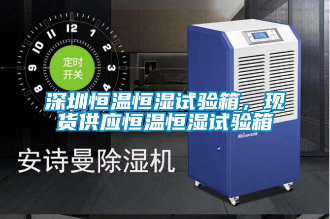 深圳恒溫恒濕試驗(yàn)箱，現(xiàn)貨供應(yīng)恒溫恒濕試驗(yàn)箱