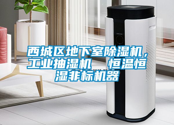西城區(qū)地下室除濕機(jī)，工業(yè)抽濕機(jī)  恒溫恒濕非標(biāo)機(jī)器