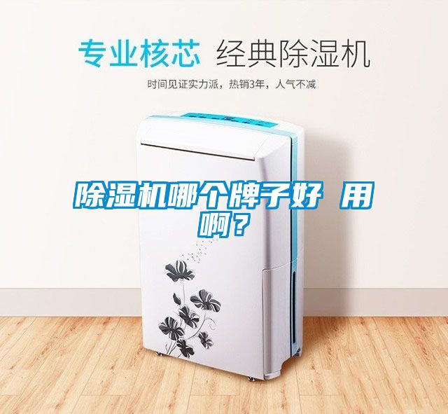 除濕機(jī)哪個牌子好 用啊？