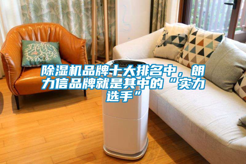 除濕機品牌十大排名中，朗力信品牌就是其中的“實力選手”