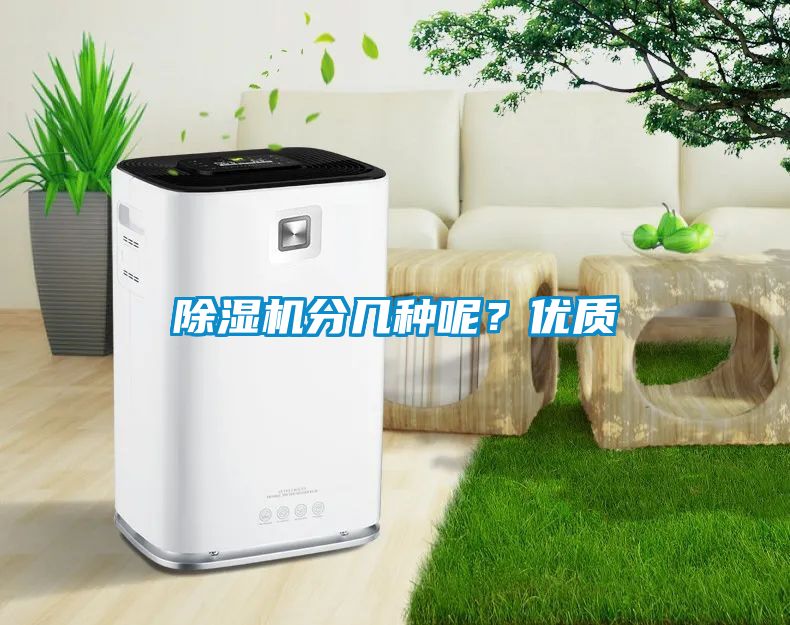 除濕機(jī)分幾種呢？優(yōu)質(zhì)