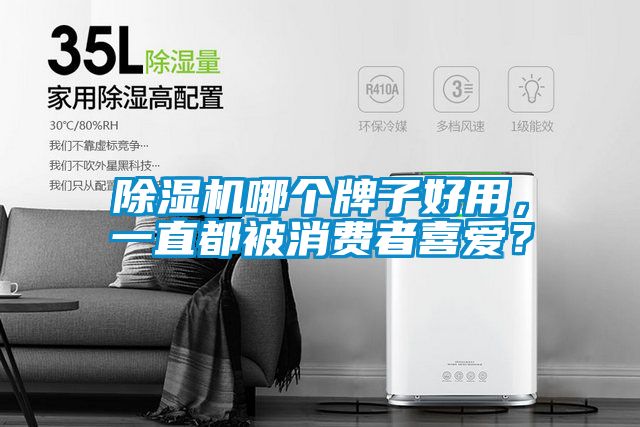 除濕機哪個牌子好用，一直都被消費者喜愛？
