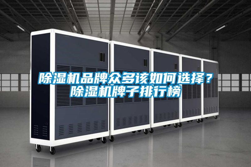 除濕機品牌眾多該如何選擇？除濕機牌子排行榜