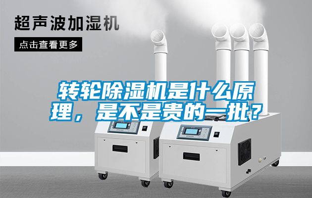 轉(zhuǎn)輪除濕機是什么原理，是不是貴的一批？