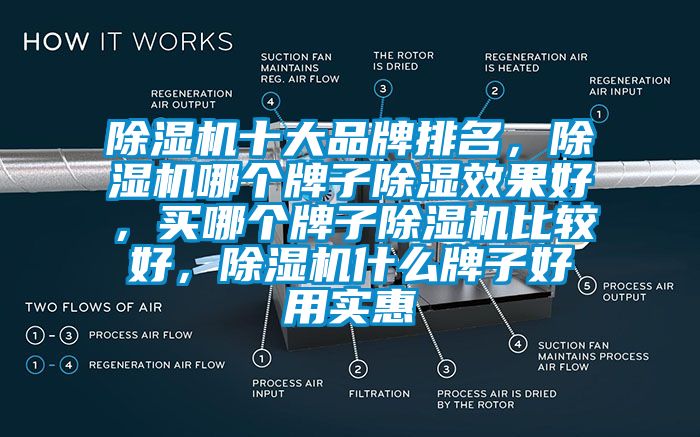 除濕機(jī)十大品牌排名，除濕機(jī)哪個(gè)牌子除濕效果好，買哪個(gè)牌子除濕機(jī)比較好，除濕機(jī)什么牌子好用實(shí)惠