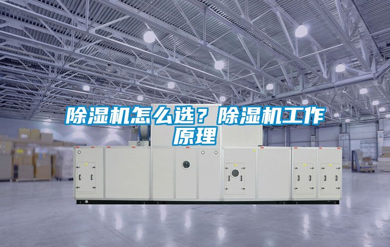 除濕機怎么選？除濕機工作原理