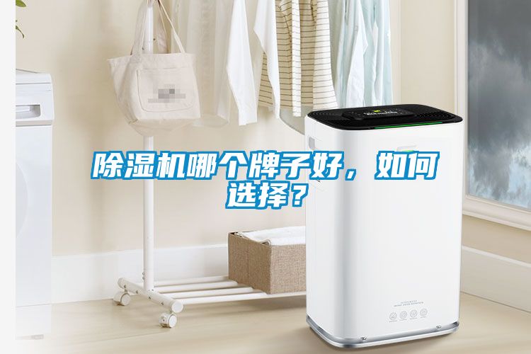 除濕機(jī)哪個(gè)牌子好，如何選擇？