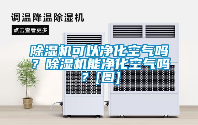 除濕機(jī)可以凈化空氣嗎？除濕機(jī)能凈化空氣嗎？[圖]