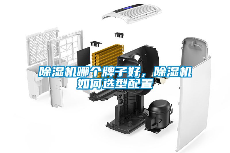 除濕機哪個牌子好，除濕機如何選型配置